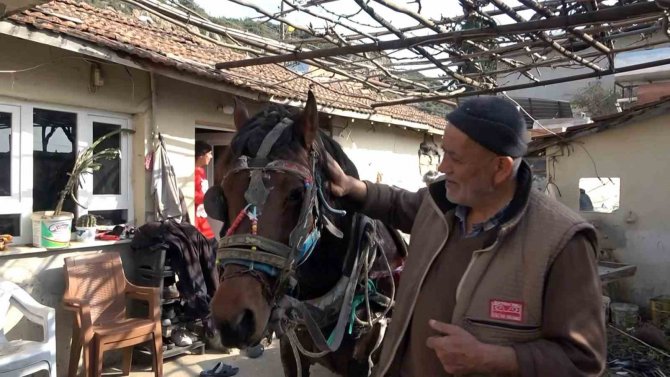Depremde Yıkılan Ahırını Tamir Etmek İçin At Arabasıyla Kilometrelerce Yol Yapıyor