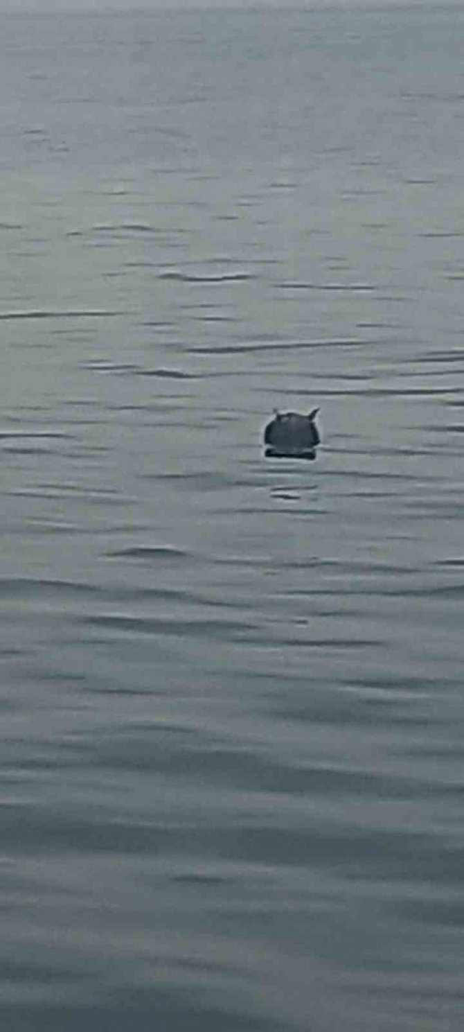 Karadeniz’de Tespit Edilen Mayın Kontrollü Şekilde İmha Edildi