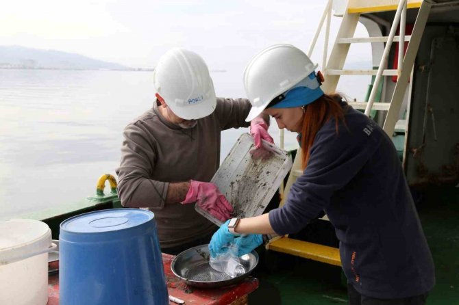 İ̇zmit Körfezi’nde Dip Çamuru Temizliği Öncesinde Biyoçeşitlilik Tespiti