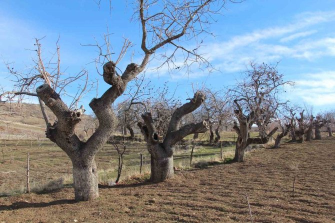 Kuraklık Tedirgin Ediyor: Umutlar Mart Ve Nisan Yağmurlarına Kaldı