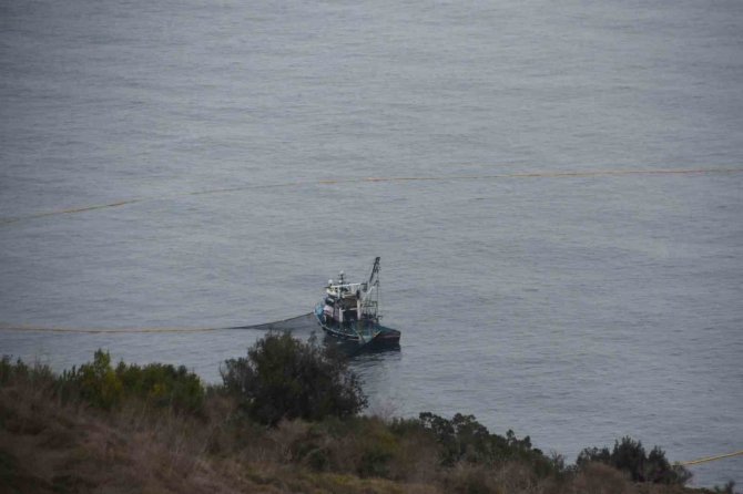 Karadenizli Balıkçıların İstavrit Mesaisi