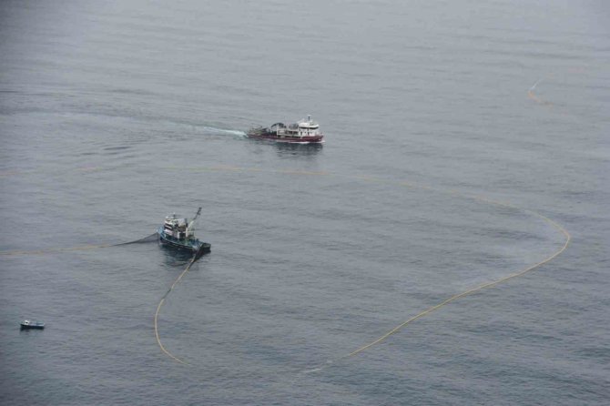 Karadenizli Balıkçıların İstavrit Mesaisi