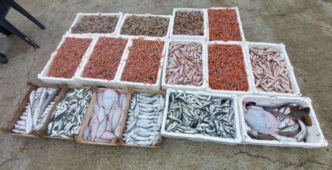 Ağlarını Depremzedeler İçin Attılar