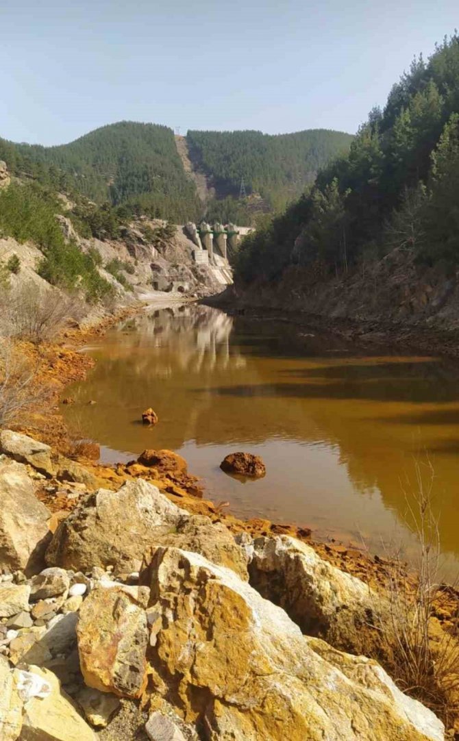 Kaynak Suyu Çamur Renginde Akmaya Başladı