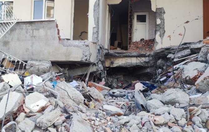 Adıyaman’da Deprem Sonrası Kediler Enkazı Terk Etmiyor