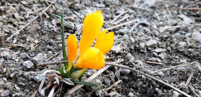 Bolu’nun Yüksek Kesimlerinde Karlar Erimeye Başladı
