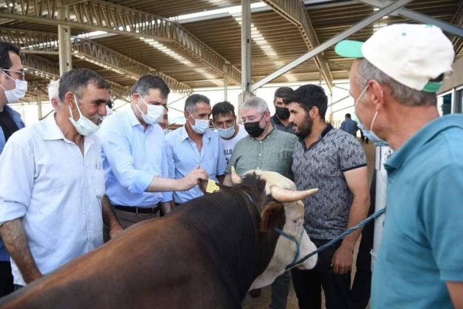 Çorum’da Hayvan Pazarları Kapatıldı