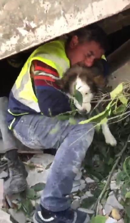 “Aleks” Adlı Köpek Depremden 23 Gün Sonra Hatay’da Enkazdan Çıkarıldı