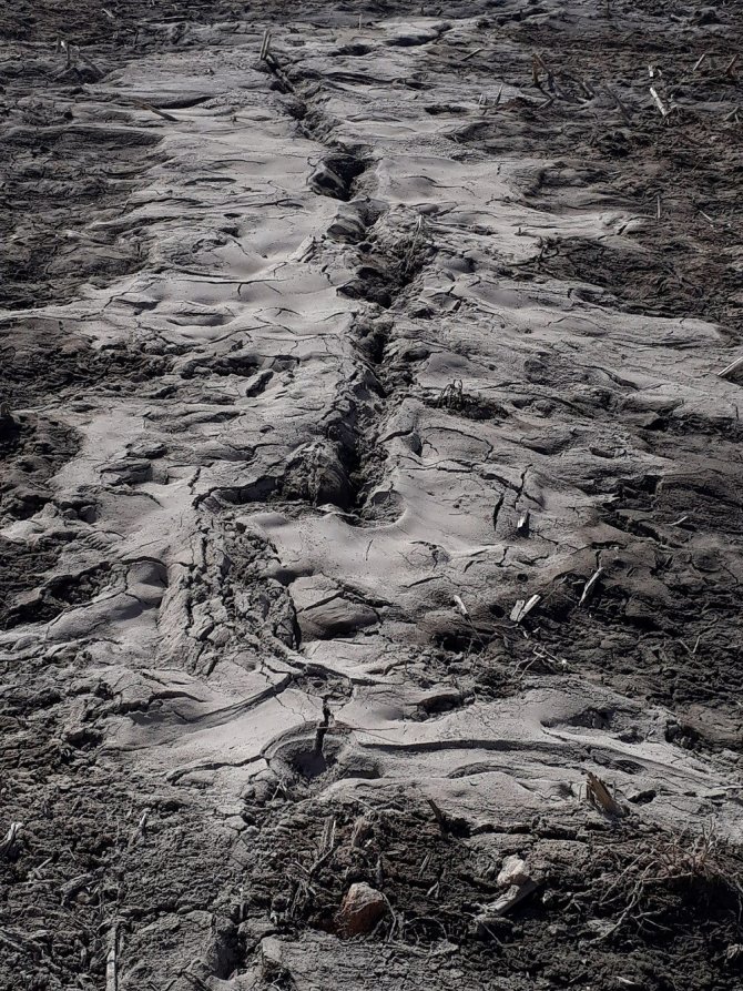 Depremle Yarılan Tarlalardan Yüzeye Su Çıktı