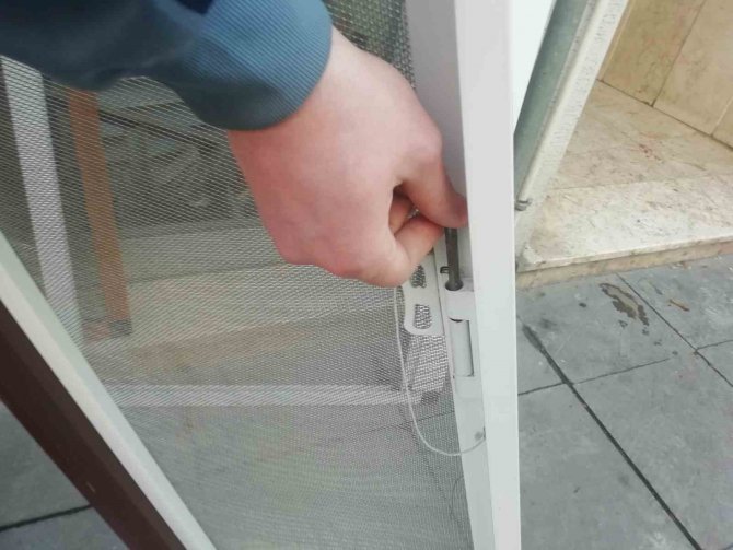 Kediler Camdan Düşmesinler Diye Alüminyumdan Sineklik Üretti
