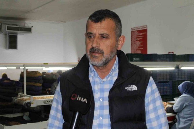 Osmaniye’de Fabrikalar Yer Fıstığı Üretimi İçin Mesai Yapıyor