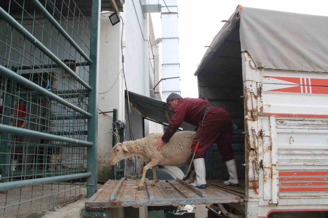Isparta’dan Deprem Bölgesine 526 Kilogram Et Gönderildi