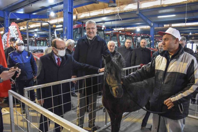 Karacabey’de Gıda, Tarım Ve Hayvancılık Fuarı Başlıyor