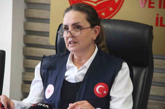 İ̇l Müdürü Livdumlu: “Kayseri Büyük Oranda Afet Bölgesi İlan Edilecek Diye Düşünüyorum”
