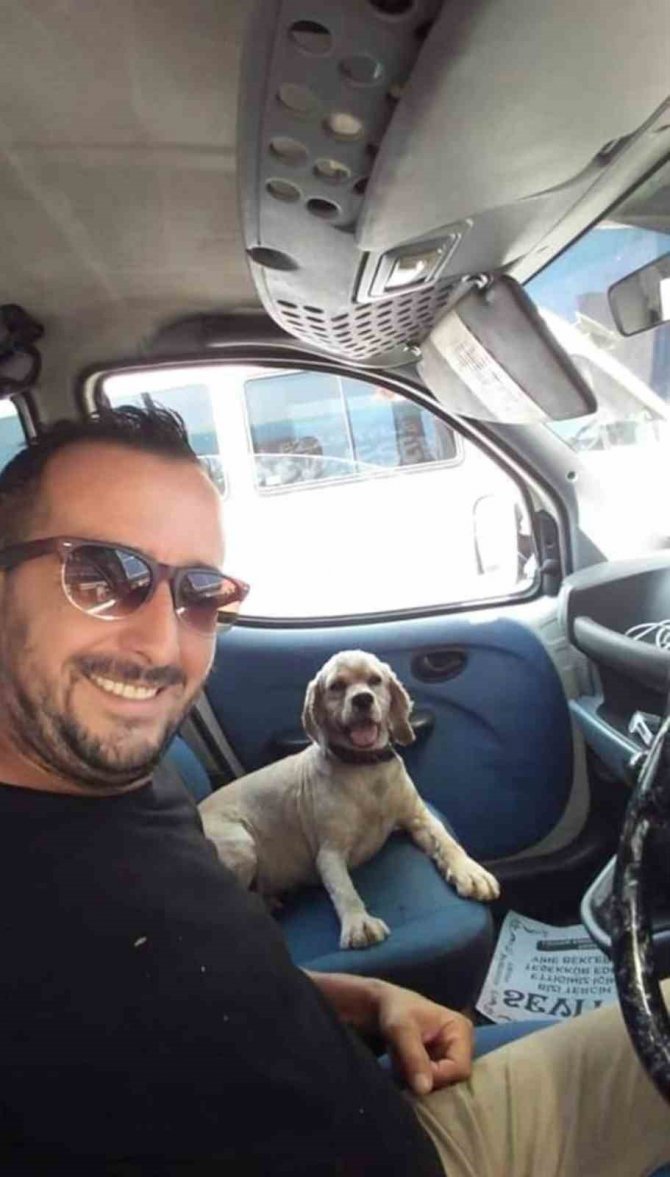 Köpeğini 5 Kez Buldu, 6. Kez Çaldılar