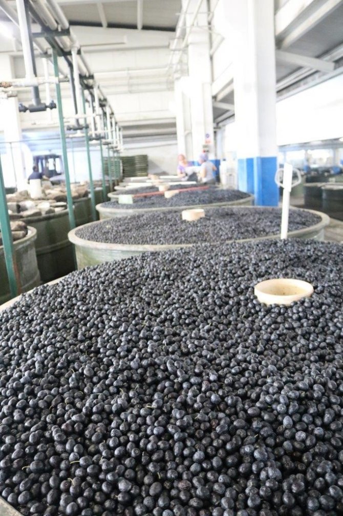 Marmarabirlik’ten Erken Ödeme