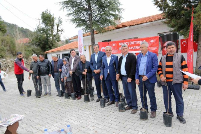 Dalaman’ın 11 Kırsal Mahallesinde ‘Kaya İ̇nciri’ Fidanları Toprakla Buluştu