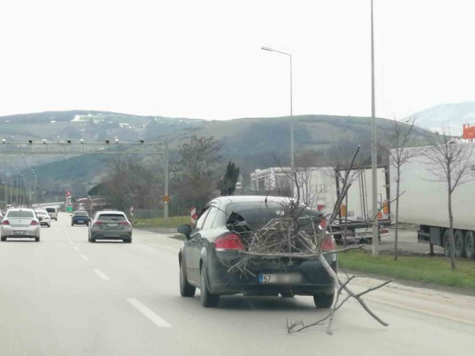 Otomobil İle Yolda Ağaç Taşıdı, Trafiği Tehlikeye Düşürdü