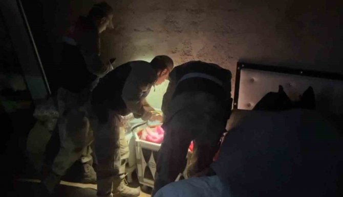 Şanlıurfa’da Uyuşturucu Operasyonu: 81 Gözaltı