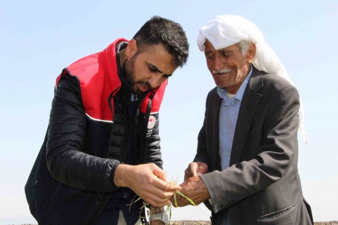 Şırnak’ta Tırtıl İstilası, Köylüler Tedirgin