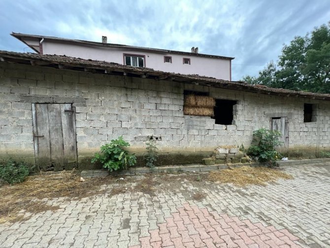 Bayram Günü Abisini Öldürmüştü, 24 Yıl Hapse Çarptırıldı