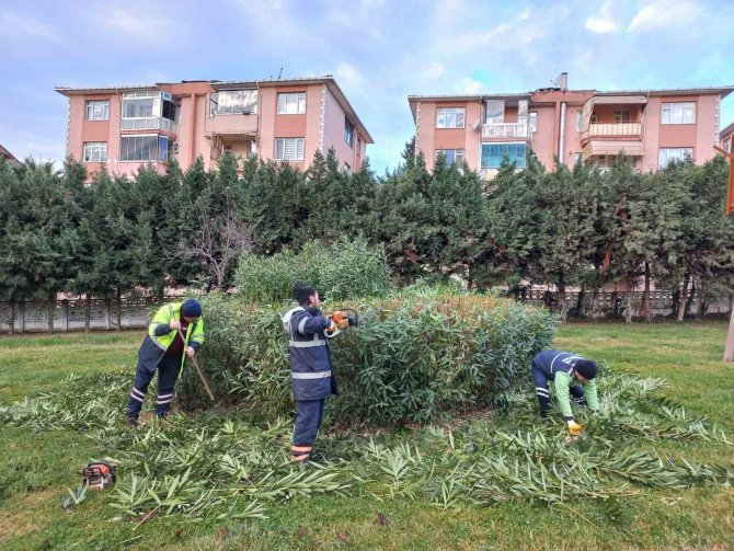 Derince’nin Yeşil Alanları Bahara Hazırlanıyor