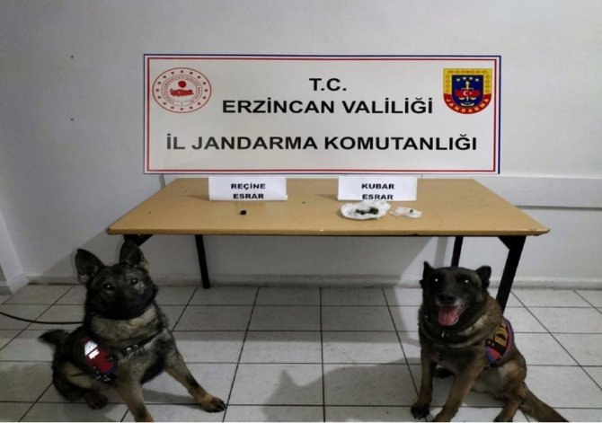 Erzincan’da 122 Şahıs Yakalandı
