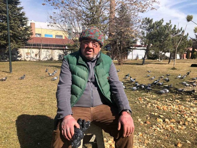 Vatandaş Tramvaylardaki Sevimli Dostlardan Memnun