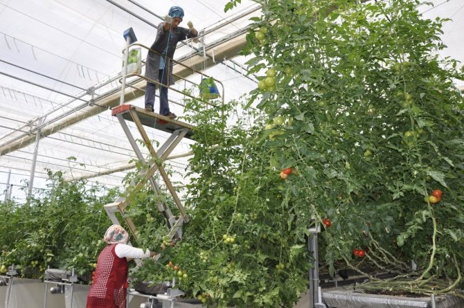 Uzman Ellere 250 Bin Tl Hibe Desteği