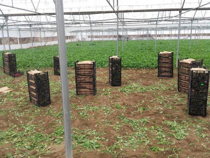 Uzman Ellere 250 Bin Tl Hibe Desteği