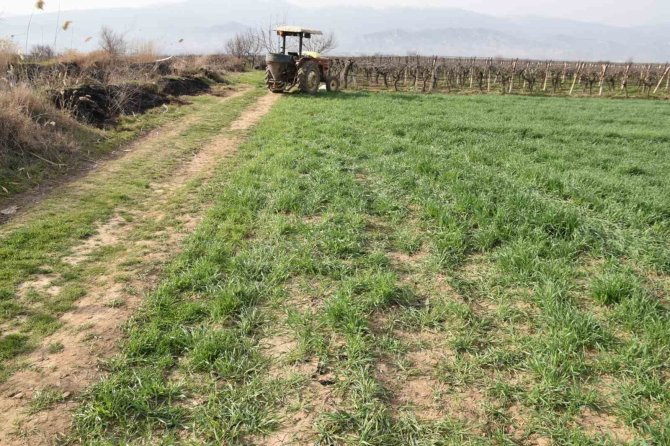 Çiftçi Cinayetinde Katil Baba-oğul Çıktı