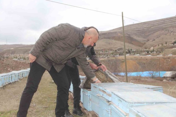 Arıcıların Tek Umudu Bahar Aylarının Yağışlı Geçmesi