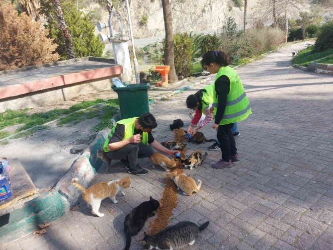 Osmaniye’de Sokak Hayvanlarına Mama Desteği