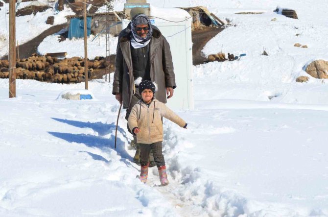 Faraşin Yaylası’nda Kalan Aslan Ailesinin Dört Çocuğu, Yaz-kış Demeden Ev İşlerini Sırtlıyor