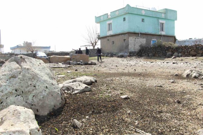 Köyleri İstila Eden Tırtıl İle İlgili Çalışmalar Devam Ediyor