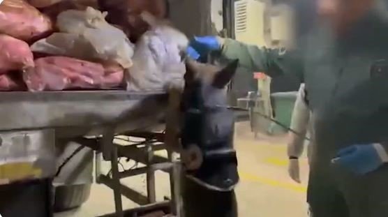 Van’da Nefes Kesen Operasyon: 200 Kilo Eroin Ele Geçirildi