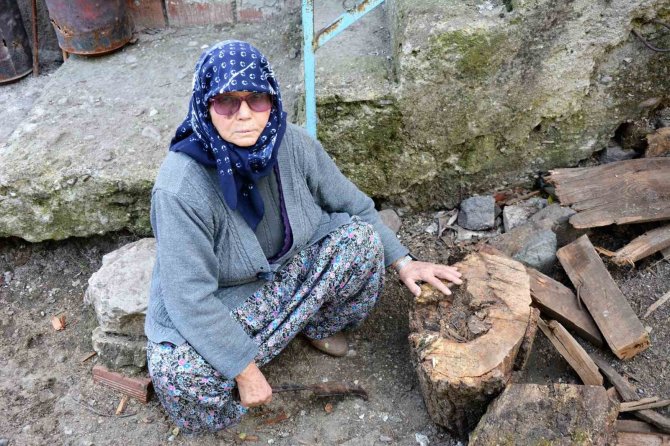 Sındırgılı Fatma Nine Tarlalarını Depremzedeler İçin Bağışladı