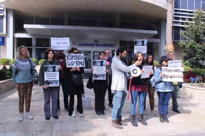Hayvanseverlerden Gaziemir Belediyesinde Protesto