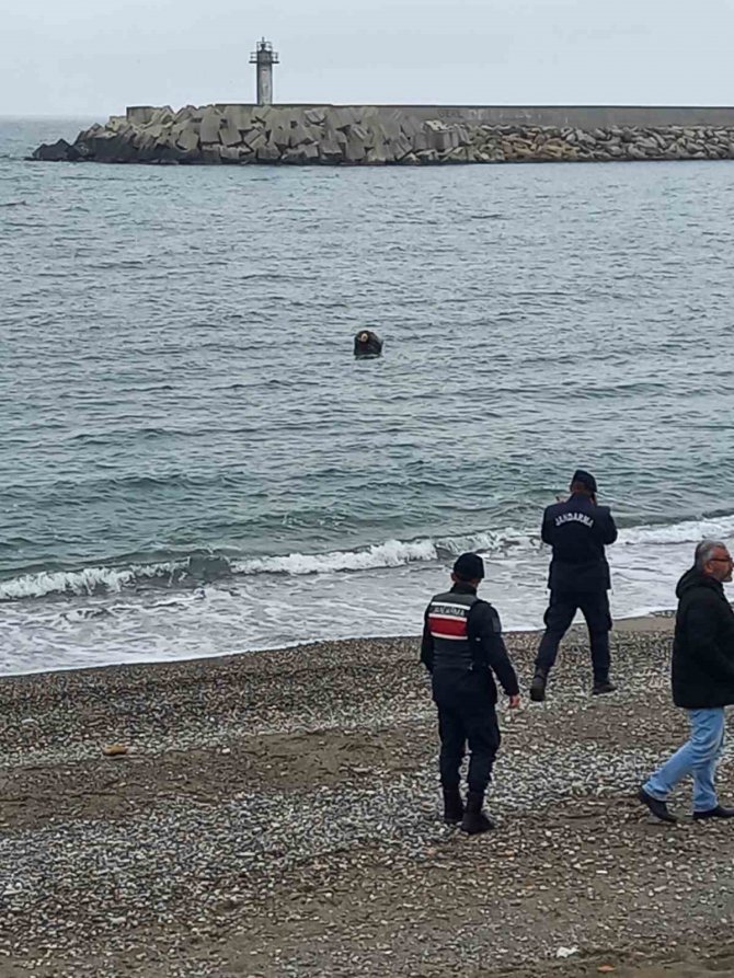 Denizdeki Mayın Sanılan Cisim Çöp Poşeti Çıktı