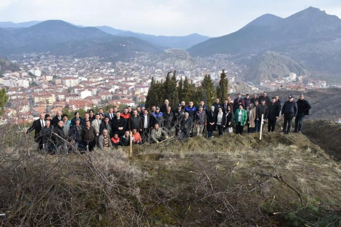 İ̇skilip Belediyesi Atıl Arazileri Meyve Bahçesine Dönüştürüyor