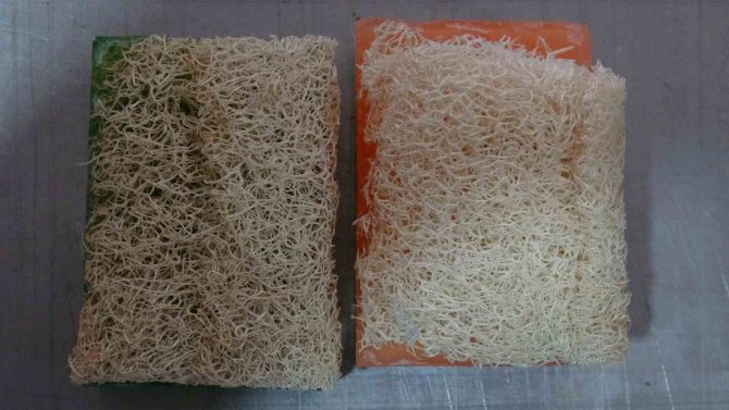 Görünüşüyle Dikkat Çekiyor, Akne Ve Sivilceleri Yok Ediyor