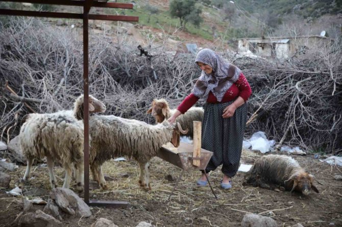Nurdağı’nda 605 Saat Sonra 5 Koyun Sağ Çıkarıldı