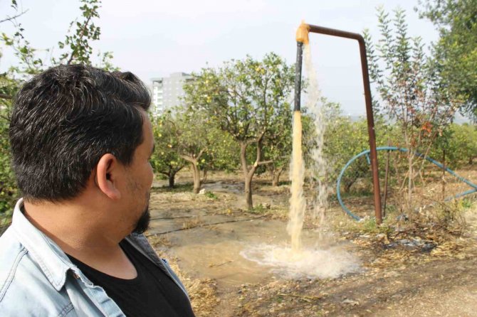 Narenciye Üreticisi Bahçe Sularken Fark Etti: “Su Çamurlu Akmaya Başladı”