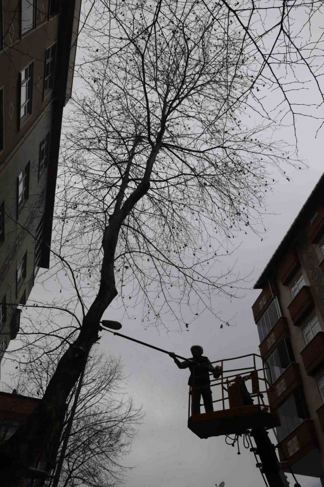 Kartal’da Bahara Hazırlık İçin Binlerce Ağaç Budandı