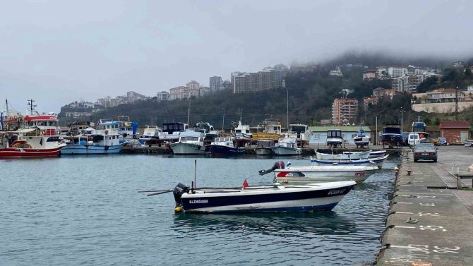 Kayhan, "Hamsi Popülasyonu Az Olduğu İçin Sezon Yetersiz Geçti"