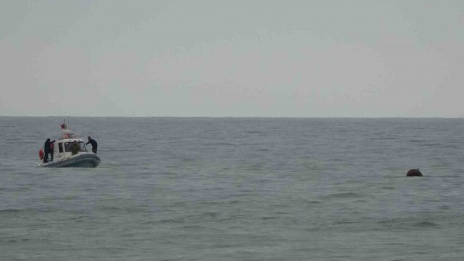 Ordu’da Denizde Bulunan Mayın Benzeri Cisim Fünye İle Patlatıldı