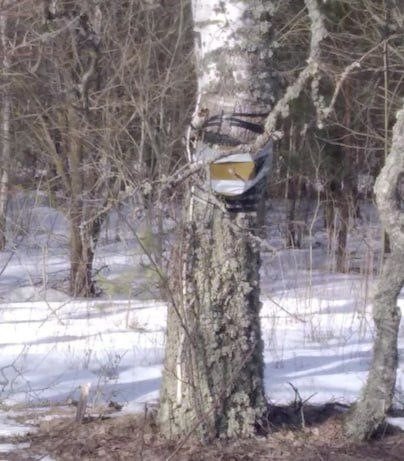 Rus İstihbaratı, Ukraynalı Sabotajcıların Sınır Bölgesindeki Saldırısının Görüntülerini Yayınladı