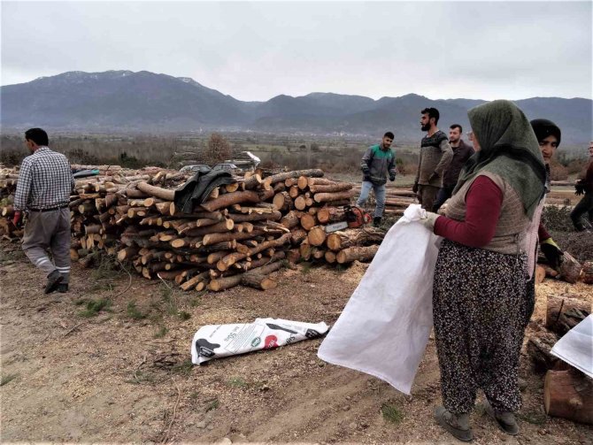 Simav’dan Deprem Bölgesine 26 Ton Yakacak Odun Gönderildi