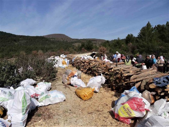 Simav’dan Deprem Bölgesine 26 Ton Yakacak Odun Gönderildi
