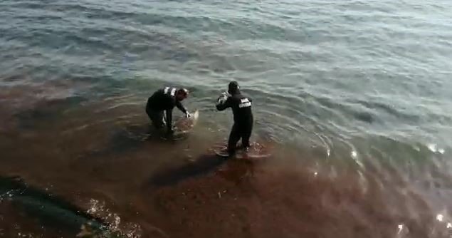 "Caretta Caretta" Kurtarma Operasyonu